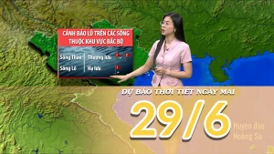 [Video] Dự báo thời tiết đêm nay và ngày mai 29/6/2025: Mưa lớn tiếp diễn ở khu vực Bắc Bộ