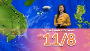 [Video] Dự báo thời tiết ngày 11/8/2025: Trung Bộ mưa dông về chiều tối