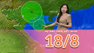 [Video] Dự báo thời tiết ngày 18/8/2025: Áp thấp nhiệt đới gây mưa cho đất liền