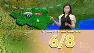 [Video] Dự báo thời tiết đêm nay và ngày mai 6/8/2025: Bắc Bộ có mưa 