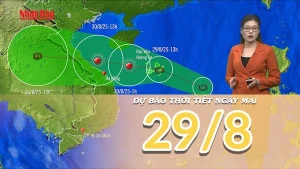 [Video] Dự báo thời tiết đêm nay và ngày mai 29/8/2025: Áp thấp nhiệt đới trên biển Đông