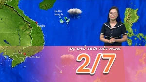 [Video] Dự báo thời tiết ngày 2/7/2025: Khu vực Bắc Bộ có mưa lớn trên diện rộng 