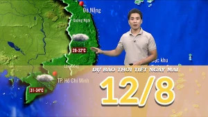 [Video] Dự báo thời tiết đêm nay và ngày mai 12/8/2025: Bắc Bộ có mưa về đêm