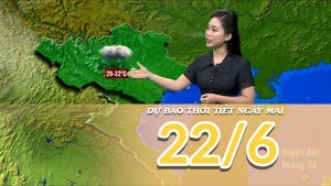 [Video] Dự báo thời tiết đêm nay và ngày mai 22/6/2025: Bắc Bộ mưa lớn