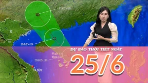 [Video] Dự báo thời tiết ngày 25/6/2025: Vùng núi và trung du Bắc Bộ tiếp tục mưa