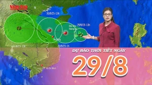 [Video] Dự báo thời tiết ngày 29/8/2025: Mưa gia tăng trên các khu vực