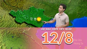 [Video] Dự báo thời tiết ngày 12/8/2025: Trung Bộ tiếp tục có nắng nóng