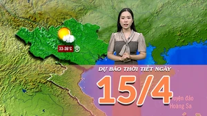 [Video] Dự báo thời tiết ngày 15/6/2025: Bắc Bộ và Trung Bộ nắng nóng 