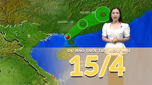 [Video] Dự báo thời tiết đêm nay và ngày mai 15/6/2025: Bão số 1 suy yếu