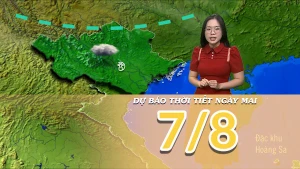 [Video] Dự báo thời tiết đêm nay và ngày mai 7/8/2025: Bắc Bộ có mưa về đêm và sáng sớm 