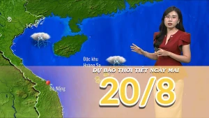[Video] Dự báo thời tiết đêm nay và ngày mai 20/8/2025: Mưa ở Bắc Bộ và Trung Bộ