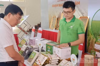 Các sản phẩm gạo chất lượng cao ở tỉnh Hưng Yên được lựa chọn hỗ trợ phát triển thương hiệu.