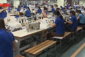 [Video] Dệt may Việt Nam tăng tốc, xuất khẩu 7 tháng đạt 26,33 tỷ usd