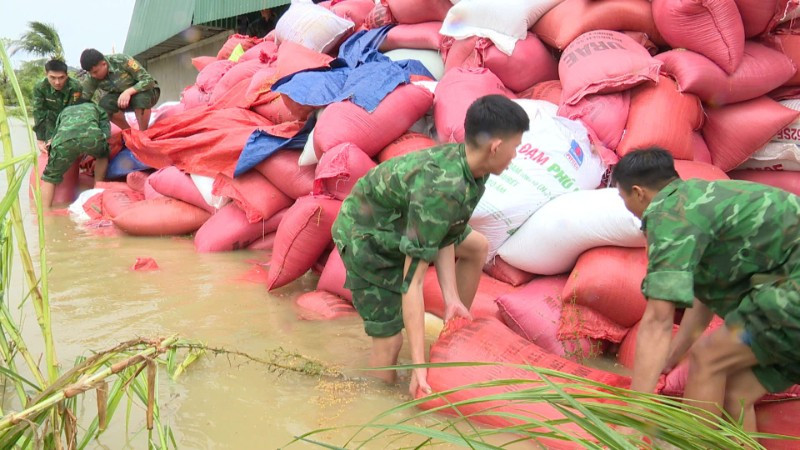 Bộ Nông nghiệp và Môi trường đề nghị Ủy ban nhân dân các tỉnh, thành phố ven biển từ Quảng Ninh đến Lâm Đồng theo dõi chặt chẽ bản tin dự báo, cảnh báo về vùng áp thấp trên biển Đông. (Ảnh: minh họa, nhandan.vn)