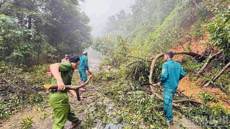 Mưa lớn diện rộng từ thành phố Huế đến Lâm Đồng gây lũ trên nhiều sông, làm hàng nghìn nhà dân bị ngập, hơn 3.300 ha cây trồng thiệt hại, 1 người tử vong tại Lâm Đồng.