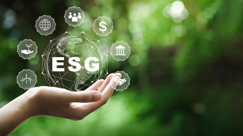 Năm 2025 nên được coi là giai đoạn thử nghiệm kiểm kê nội bộ để doanh nghiệp làm quen, chuẩn bị kỹ lưỡng trước khi nghĩa vụ chính thức được thực hiện từ năm 2026.