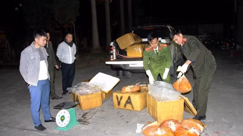 Công an thành phố Lào Cai bắt vụ buôn lậu hơn 500 kg trứng gà non nhập lậu qua biên giới.