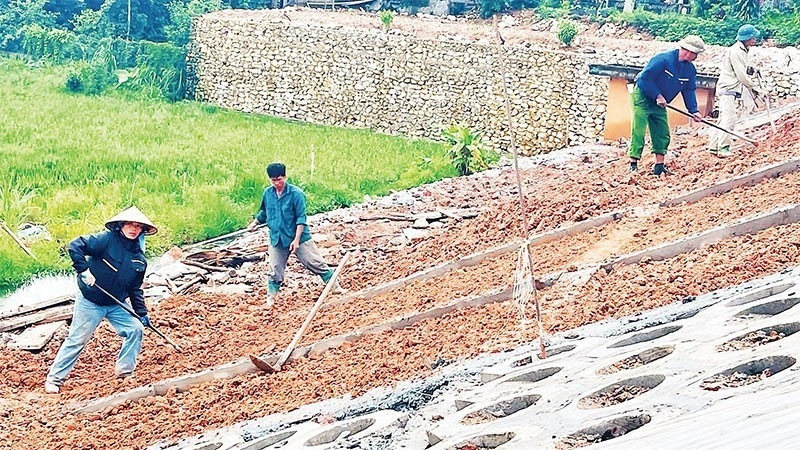 Công nhân Công ty Trách nhiệm hữu hạn tư vấn đầu tư và xây dựng Lâm Phúc thi công mái đập hồ chứa Trại Lần. (Ảnh: nhandan.vn)