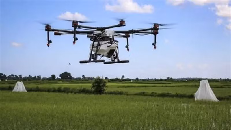 Việc ứng dụng drone (máy bay không người lái) trong nông nghiệp đang mang lại hiệu quả rõ rệt về năng suất, chi phí và an toàn lao động.