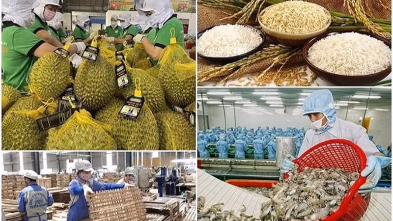 Ngành nông nghiệp đặt mục tiêu thực hiện kim ngạch xuất khẩu toàn ngành đạt 65 tỷ USD trong năm 2025.