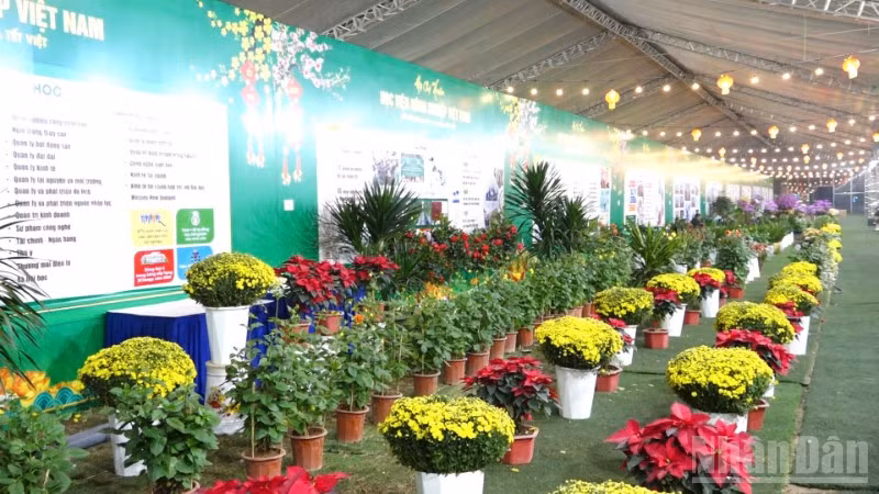 Hội chợ Xuân 2026 của Học viện Nông nghiệp Việt Nam được thiết kế như một không gian văn hóa-sáng tạo giàu ý nghĩa, góp phần tôn vinh bản sắc Tết cổ truyền dân tộc.