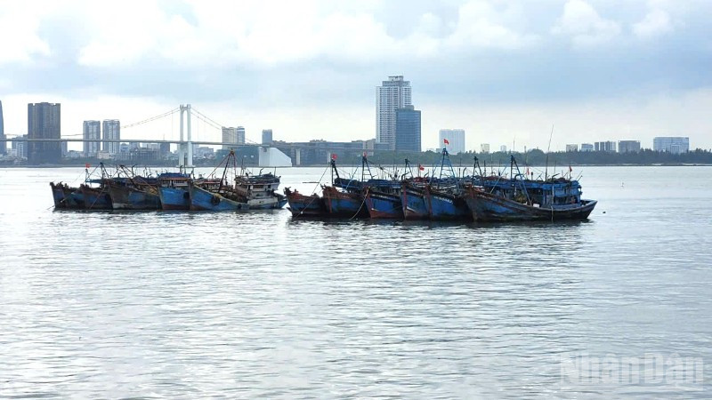 Phó Thủ tướng Trần Hồng Hà ký Công điện số 18/CĐ-TTg ngày 25/2/2026 về việc tập trung chuẩn bị làm việc với Đoàn Thanh tra của Ủy ban châu Âu (EC) lần thứ 5, quyết tâm gỡ cảnh báo “thẻ vàng” đối với thủy sản Việt Nam.