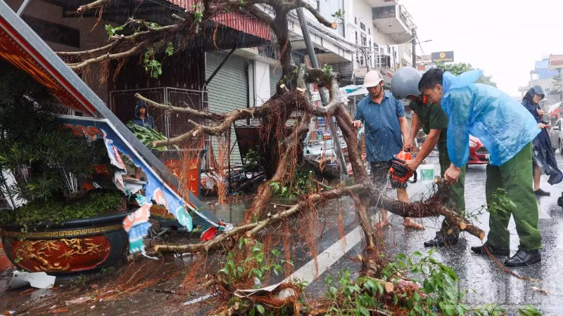 Bão số 10 kèm mưa lớn, sạt lở, giông lốc đã gây hậu quả nghiêm trọng tại nhiều tỉnh, thành phố từ miền núi phía bắc đến miền trung.