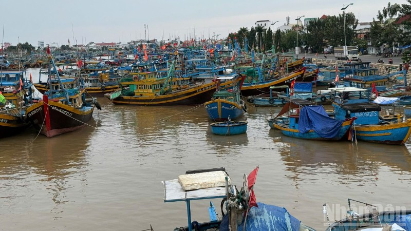 Ban Chỉ đạo Phòng thủ dân sự quốc gia đã yêu cầu các tỉnh, thành phố từ Đà Nẵng đến Khánh Hòa và các bộ, ngành liên quan khẩn trương triển khai các biện pháp ứng phó cấp bách với bão số 13.