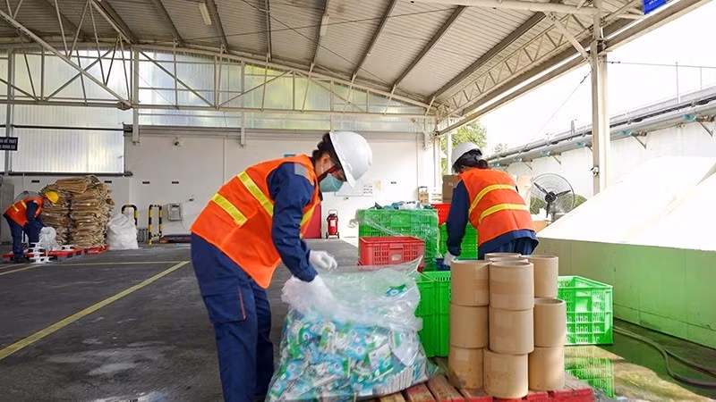 Phân loại rác thải tại nhà máy sữa của Friesland Campina Việt Nam. (Ảnh: VÕ HÙNG)