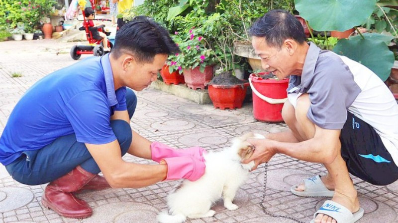 Năm 2024, cả nước ghi nhận 89 ca tử vong do bệnh dại, tất cả đều không tiêm phòng, chủ yếu do chó, mèo lây bệnh. (Ảnh: nhandan.vn)