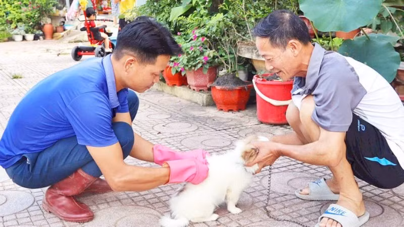 Năm 2024, cả nước ghi nhận 89 ca tử vong do bệnh dại, tất cả đều không tiêm phòng, chủ yếu do chó, mèo lây bệnh. (Ảnh: nhandan.vn)