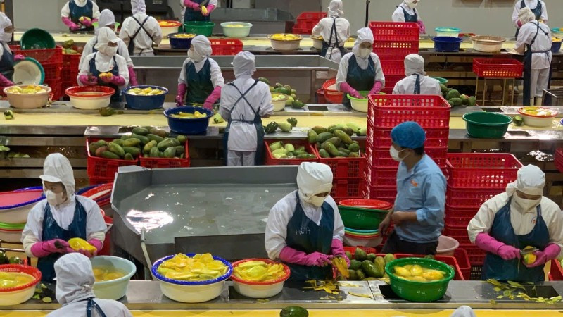 Sáu tháng đầu năm 2025, kim ngạch xuất khẩu nông, lâm, thủy sản đạt 33,84 tỷ USD, tăng 15,5% so với cùng kỳ năm 2024.