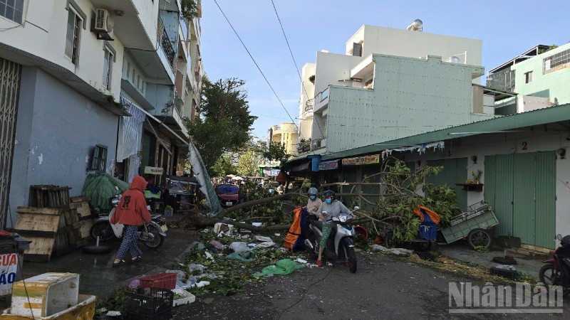 Tính đến 11 giờ ngày 7/11, bão số 13 đã gây thiệt hại nặng nề về người và tài sản tại các tỉnh Tây Nguyên và khu vực duyên hải Trung bộ.