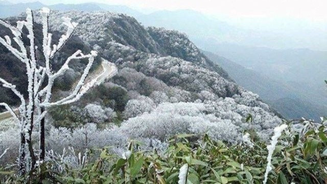 Từ ngày 21/1, không khí lạnh tăng cường mạnh, khu vực Bắc Bộ và Bắc Trung Bộ chuyển rét. (Ảnh: Trung tâm khí tượng thủy văn quốc gia).