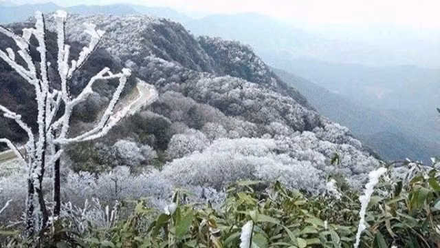 Từ ngày 21/1, không khí lạnh tăng cường mạnh, khu vực Bắc Bộ và Bắc Trung Bộ chuyển rét. (Ảnh: Trung tâm khí tượng thủy văn quốc gia).