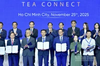 Thủ tướng Chính phủ Phạm Minh Chính chứng kiến các đối tác trao biên bản thoả thuận hợp tác tại Chương trình “CEO 500 - TEA CONNECT”. (Ảnh: Thanh Giang)