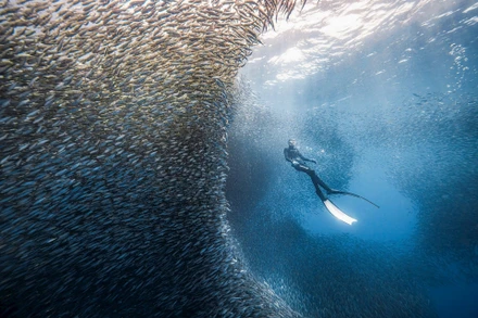 Ảnh: NGUYỄN NGỌC THIỆN