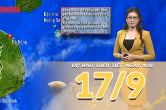 [Video] Dự báo thời tiết đêm nay và ngày mai 17/9/2025: Mưa lớn ở Nam Trung Bộ 