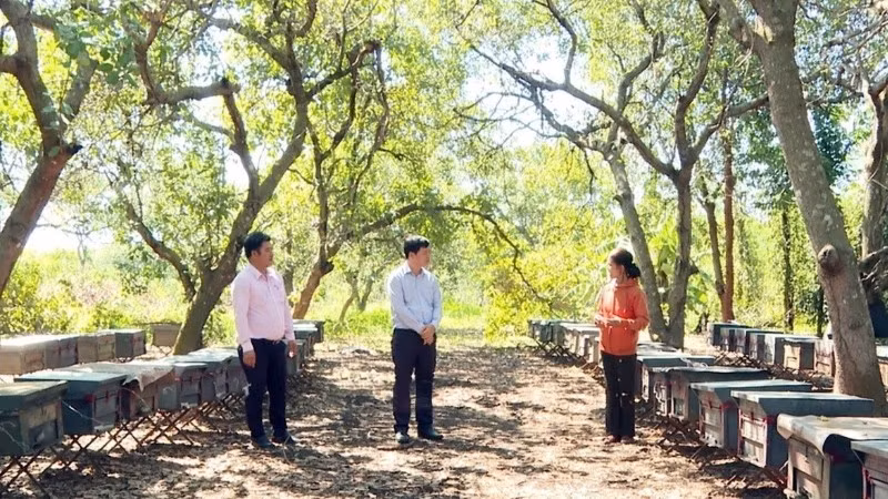 Bà Hoàng Thị Khôi, một trong những hộ dân tộc Tày ở xã Thiện Hưng, tỉnh Đồng Nai vay vốn tín dụng chính sách để nuôi dê, chăm sóc được vườn tiêu và nuôi ong lấy mật, thu nhập khoảng 150 triệu đồng/năm.