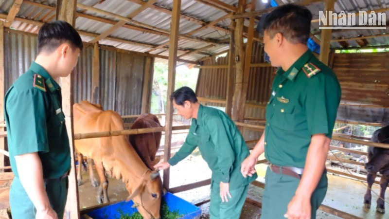 Cán bộ chiến sĩ Đồn Biên phòng Đắk Ơ thăm hộ anh Phạm Xuân Kiều được đơn vị tặng bò giống. dscf0215-7839-2758-7537.jpg