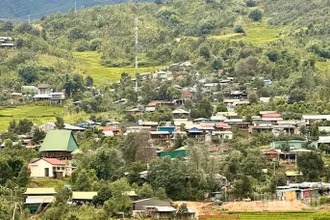 Xã Măng Ri phấn đấu trở thành thủ phủ sâm Ngọc Linh và dược liệu của tỉnh và cả nước.