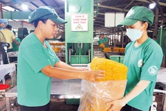 Nhân rộng các sáng kiến, phục vụ sản xuất hiệu quả