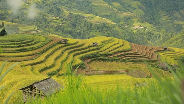 Ảnh: NAM NGUYỄN