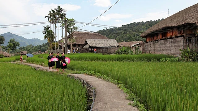 Hành trình trở về tuổi thơ