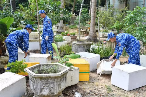 Cán bộ, chiến sĩ Bộ Tư lệnh Vùng Cảnh sát biển 4 xử lý các vật dụng đọng nước dễ phát sinh muỗi. (Ảnh: ĐỨC THÁI)