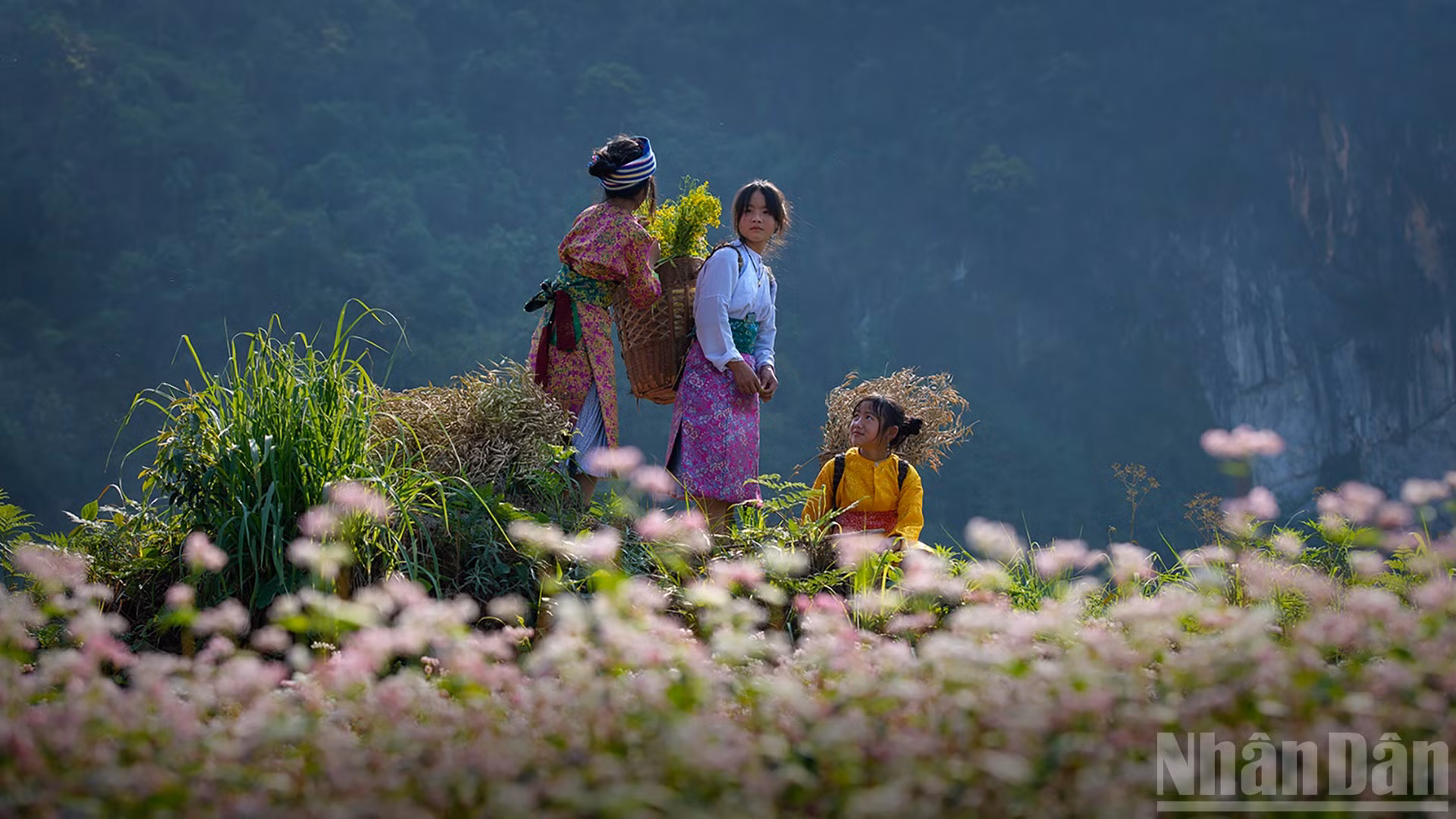 Miền đá nở hoa. (Ảnh: Vũ Linh) 