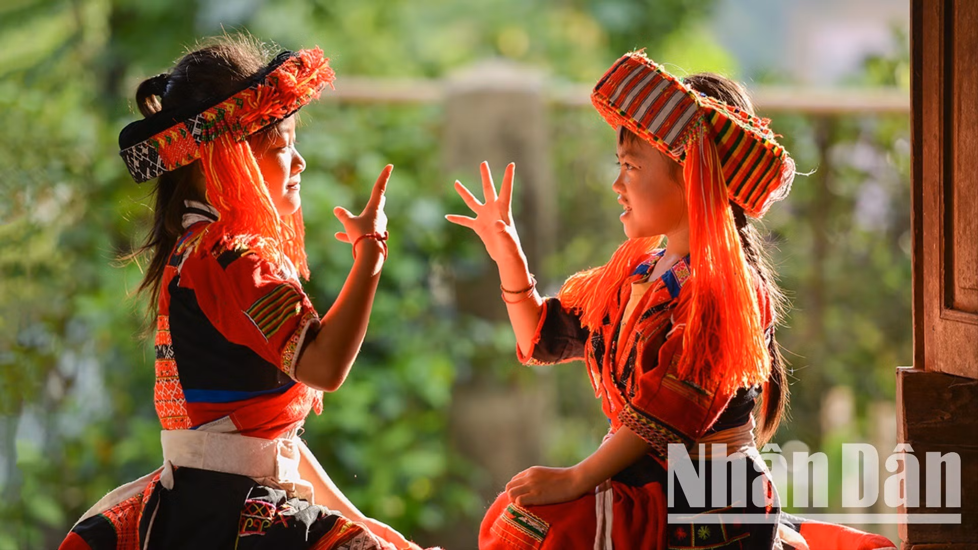 dsc-6765-342.jpg