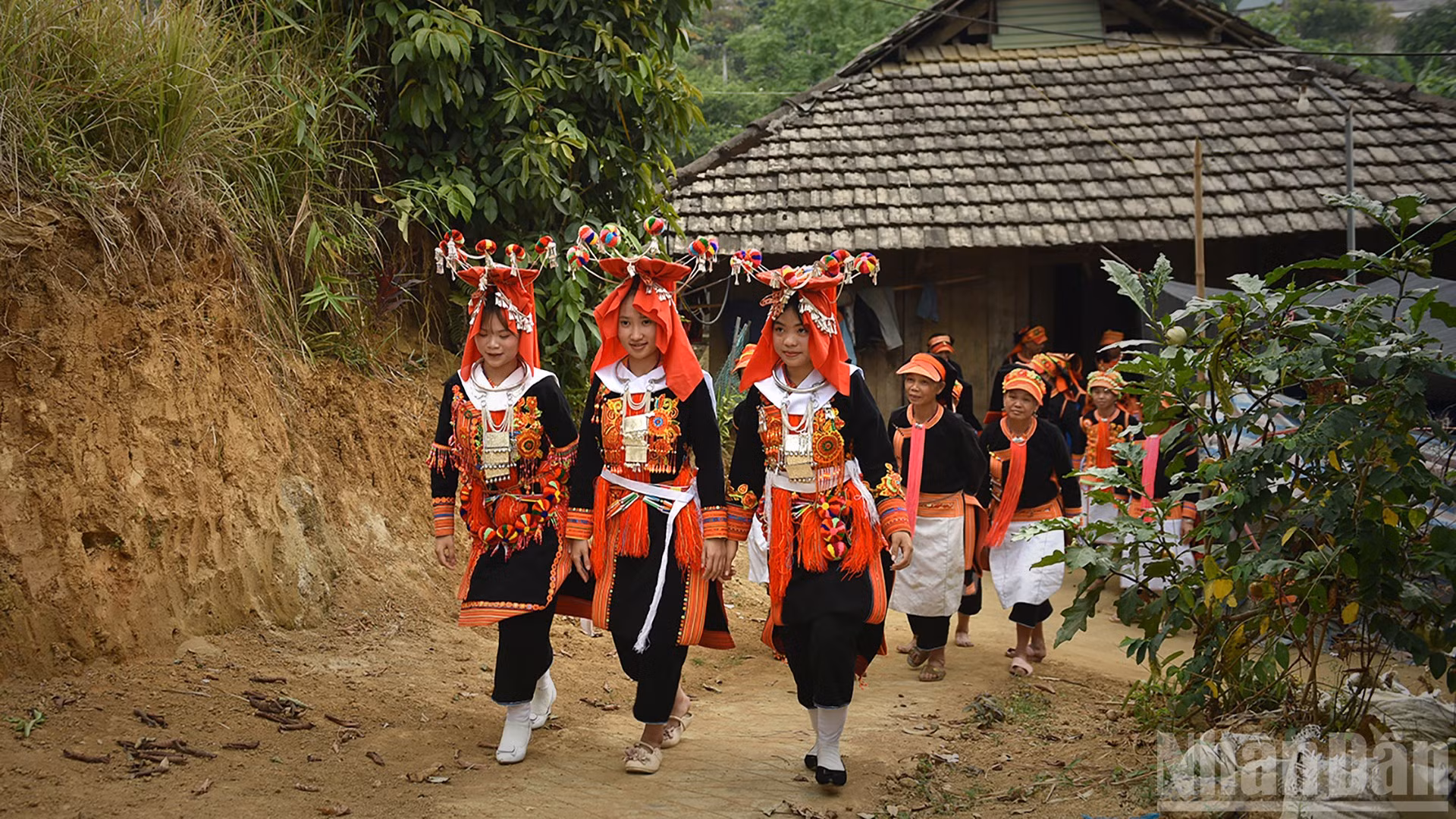 ndo_br_dvl-9717.jpg