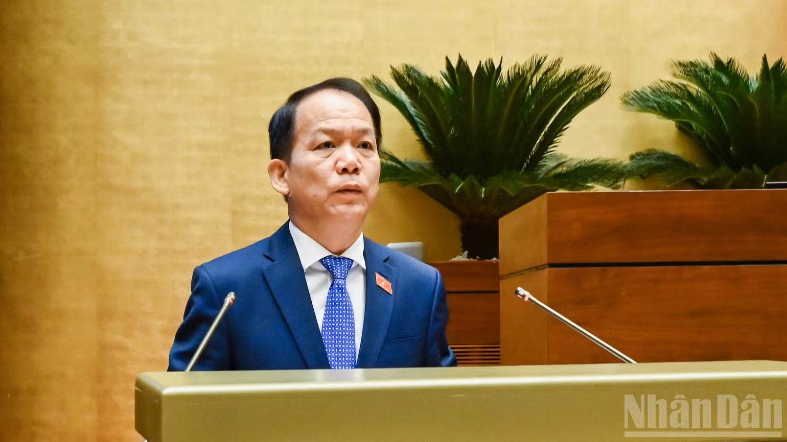 ndo_br_bo-truong-hoang-thanh-tung-3036.jpg