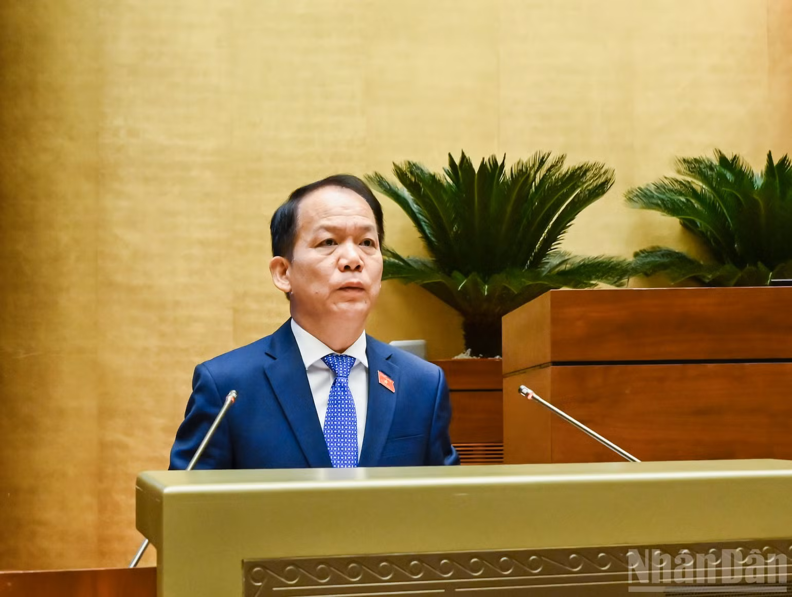 ndo_br_bo-truong-hoang-thanh-tung.jpg